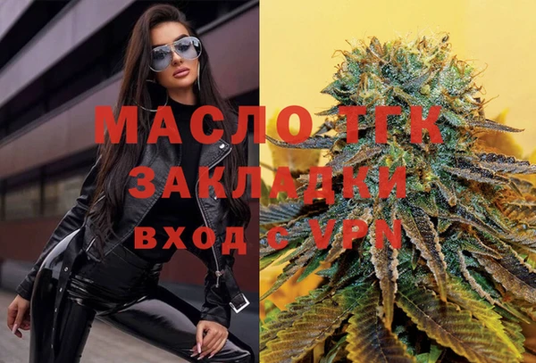 ECSTASY Бородино